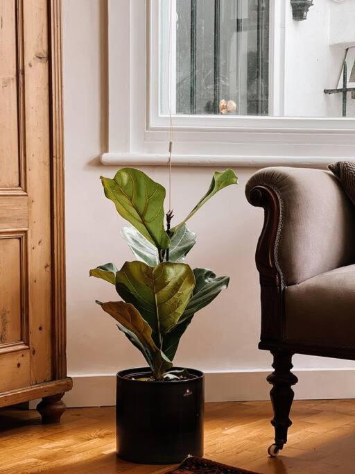 Stunning Victorian Mansion Apartment - Hosted By Agf Property - Free Parking Upon Request Brighton Exterior foto